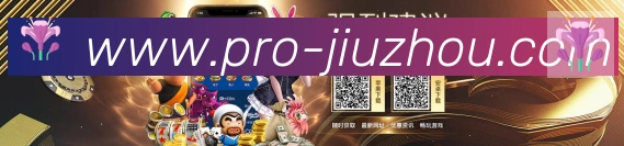 互动解说服务